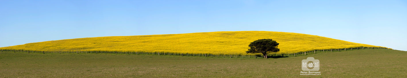 Ballarat Photography Landscape Panorama Scene 