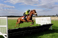 Ballarat Equine Vet Clinic