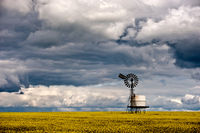 Ballarat Farming Agriculture Canola Crop and Clouds