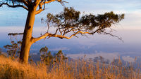 Ballarat Photography Peter Kervarec