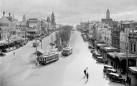 Sturt St View Tram Line Cyclists